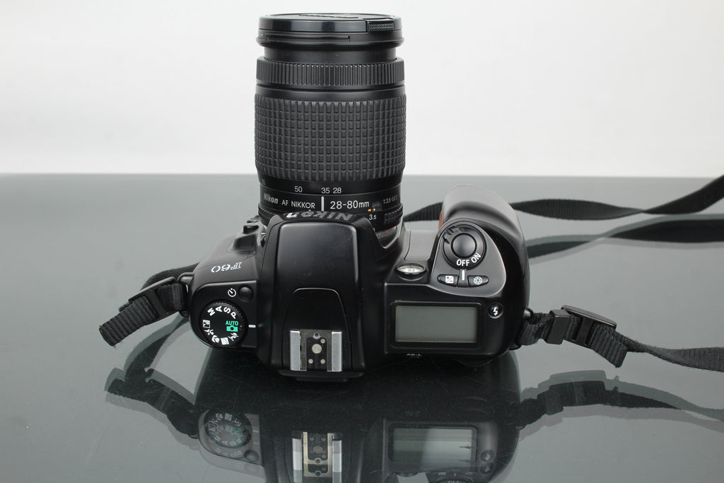 Nikon F60 + AF Nikkor 28-80mm 1:3.5-5.6 D lionsa