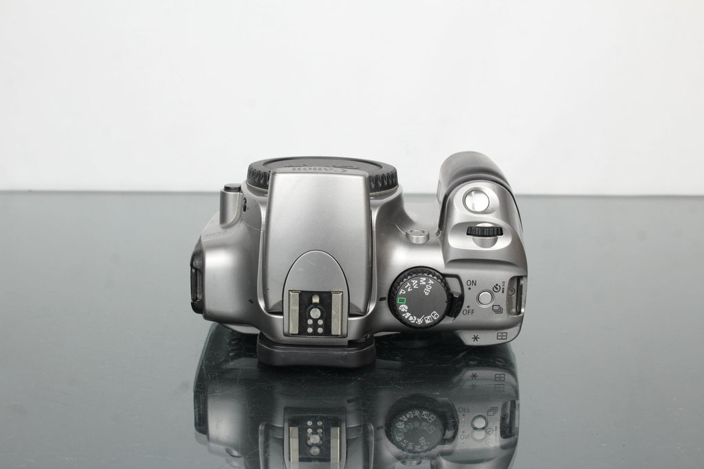 Canon EOS 300D - Dutch|Thrift